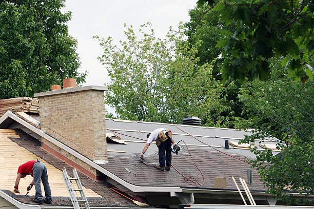 Roof Repair Estimates in Brandon, FL